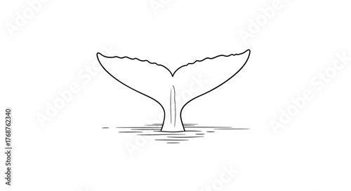 Whale's Tail Silhouette Ascending Gracefully from the Ocean's Surface in a Minimalist Line Drawing