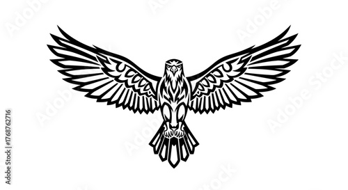 Striking black and white graphic illustration of a soaring eagle with stylized wing feathers