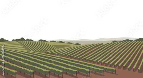 Scenic vineyard vista showcasing rows of verdant vines against a serene backdrop rural landscape