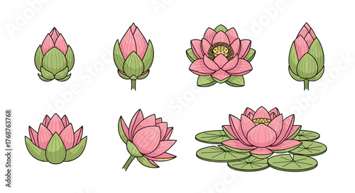 Collection of stylized pink lotus flowers and buds in various stages of bloom, set against a black background, showcasing the beauty and life cycle of these aquatic plants with vibrant colors and