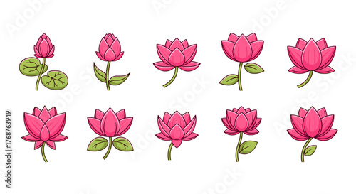 Collection of ten stylized pink lotus flowers in various stages of bloom, depicted with vibrant colors and clean lines against a black background, symbolizing purity, enlightenment, and rebirth in