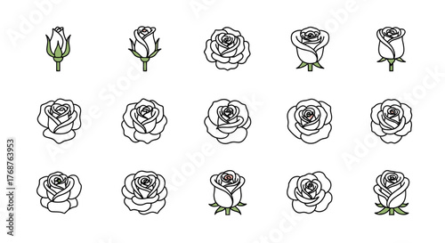 Collection of stylized rose illustrations showcasing different stages of bloom, from tight buds to fully opened flowers, presented on a black background with a subtle glitter effect, perfect for