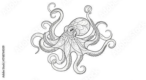 Detailed octopus illustration in black and white with intricate line work and flowing tentacles