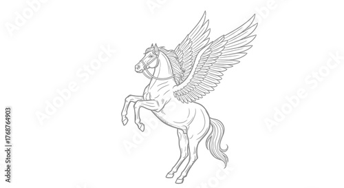 Detailed linear illustration of a majestic Pegasus rearing on its hind legs with spread wings