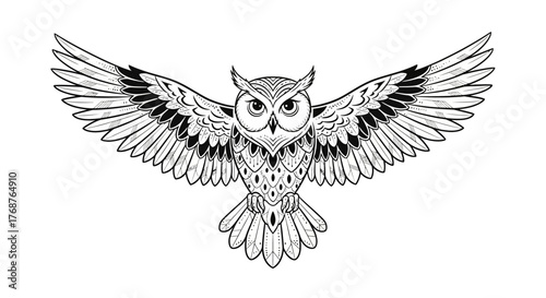 Detailed owl vector illustration featuring intricate wing patterns on a white background