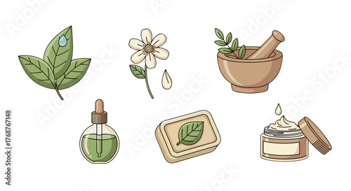 Collection of natural cosmetic ingredients and products, including leaves with water drops, a chamomile flower, a mortar and pestle with herbs, a dropper bottle with green liquid, a bar of soap with