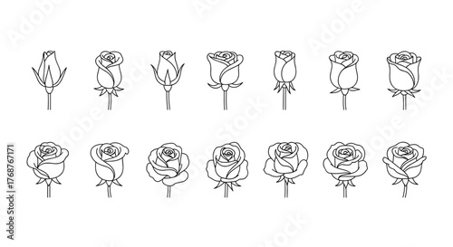 Collection of stylized white line art rose illustrations on a black background, showcasing the flower's growth stages from bud to full bloom, perfect for design elements and floral motifs.