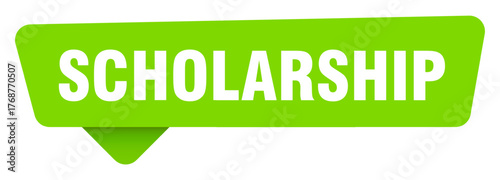 scholarship green sign isolated on transpatent background. scholarship sticker