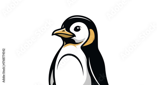 Cartoon Penguin Illustration with Black and White Plumage.