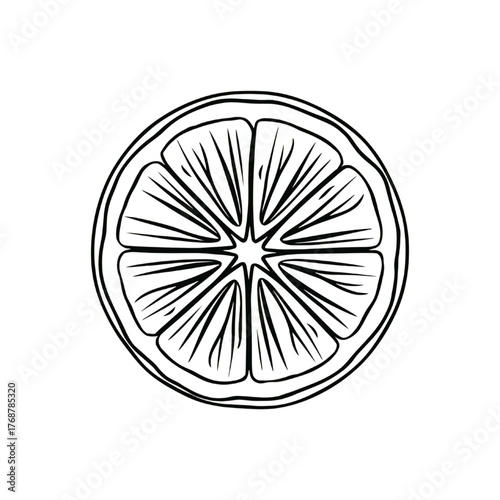 Hand Drawn Lemon Slice Illustration – Citrus Fruit Line Art Design