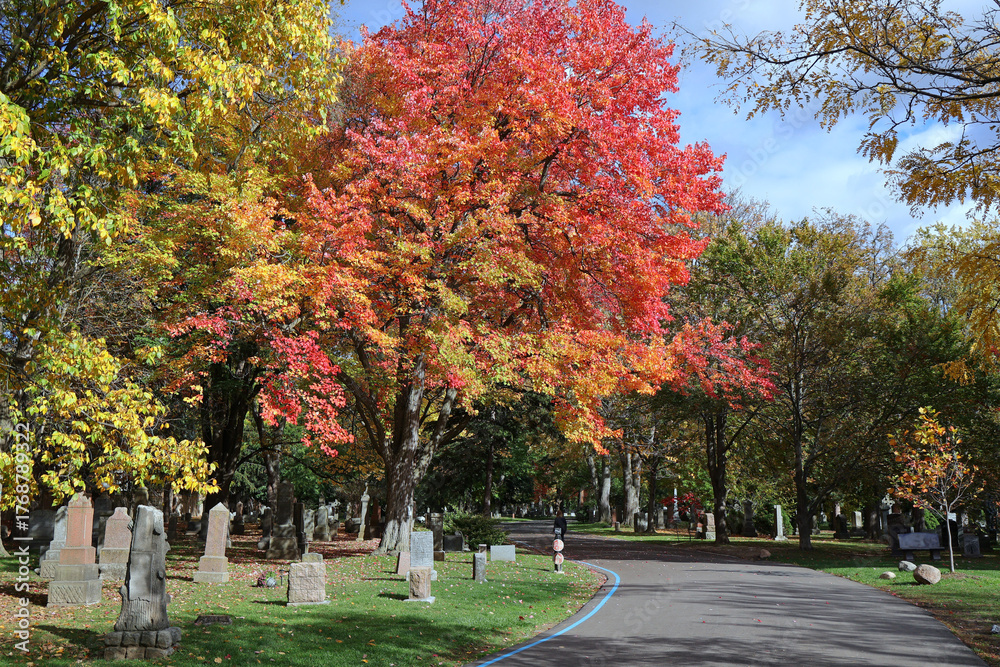 Naklejka premium Park-like cemetery with fall colors, Mount Pleasant Cemetery in Toronto
