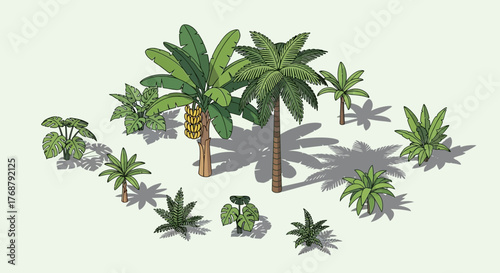 Exotic vegetation isometric layout presenting banana trees and broadleaves