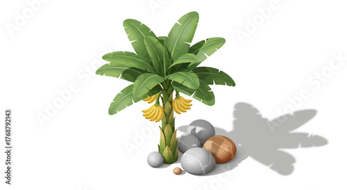 Illustrative banana plant with ripening fruit and river stone details