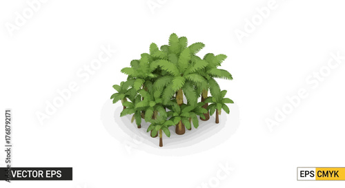Isometric group of realistic detailed vector cartoon palm trees isolated