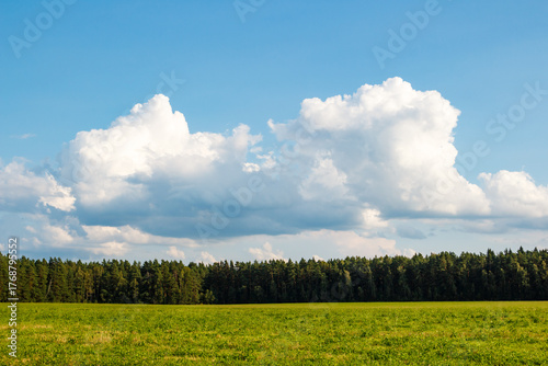 Vast green field under a wide blue sky with majestic cumulus clouds above a dense forest. Summer tranquility and natural beauty