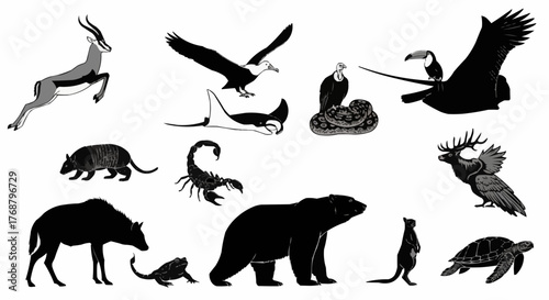 A diverse collection of animals including mammals reptiles birds and amphibians in black and white style