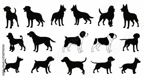 Silhouette collection of various dog breeds standing in different poses with tails and ears visible