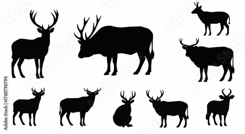 Silhouette depiction of various deer species with different antler configurations in black and white style