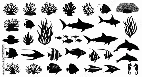 Silhouette illustration of diverse marine life including fish coral sharks and seahorses in black