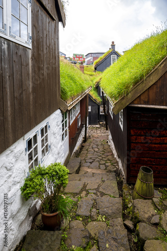 Historic cobblestone alley with turf-roofed houses and a potted plant