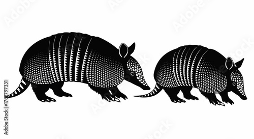 Two armadillos depicted in black and white with intricate shell patterns walking side by side on white