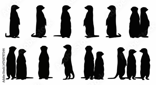 Silhouette illustration showing a group of meerkats standing upright in various configurations and poses