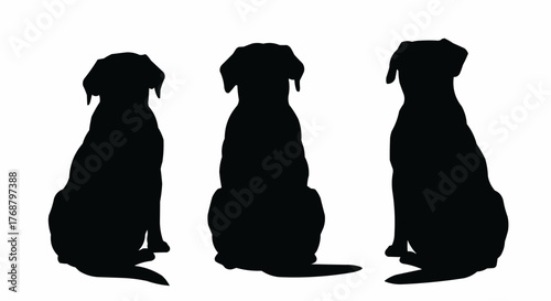 Three black dog silhouettes sitting side by side in a row against a white background view from behind