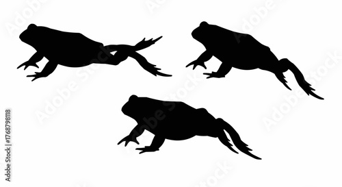 Silhouette depiction of three frogs in various poses against a white background shown in the image