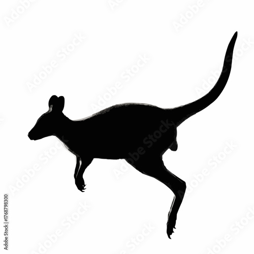Silhouette of a kangaroo in mid hop with its tail extended upwards on a white background showing movement