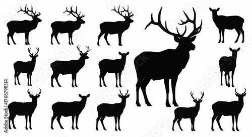 Silhouette illustration featuring a group of deer with varying antler sizes and body postures shown in black