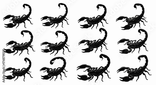 Twelve black scorpions arranged in a rectangular grid pattern on a white background facing different directions