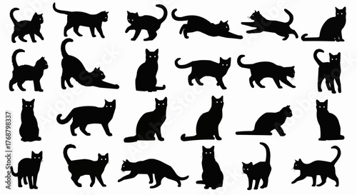 Collection of black cat silhouettes in various poses against a white background in a seamless pattern
