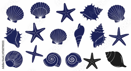 Collection of seashells and starfish in navy blue and white on a white background surface scene