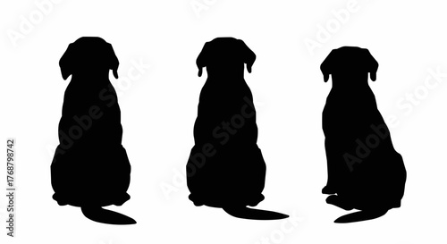 Three black dog silhouettes sitting with their backs turned on a white background, facing away from viewer
