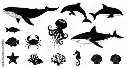 Silhouette illustration of various sea creatures including a whale, shark, and jellyfish and more