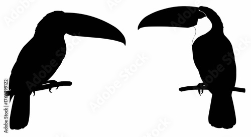 Two toucan silhouettes perched on branches facing opposite directions against a white background scene