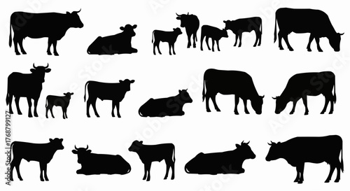 Silhouette illustration of various cows in different poses including standing and lying down on white background