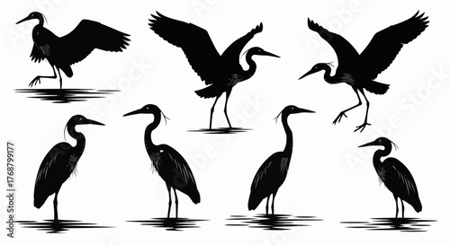 Silhouette illustration of a group of herons in various poses standing and flying in water bodies scene