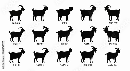 Illustration showing fifteen goat silhouettes of various breeds including nubian boer alpine and angora goats