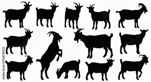 Silhouette illustration showing a group of goats in various poses against a white background