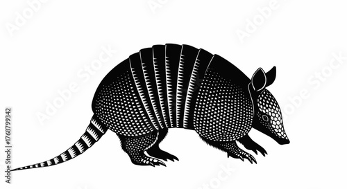 Illustration of a black and white armadillo with patterned shell and tail on a white background