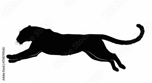 Silhouette of a black panther in mid stride with its tail curved upwards against a white background