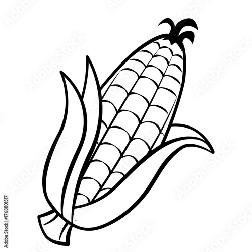 Vector line art illustration of corn in black and white, showing detailed kernels and husk lines, perfect for botanical drawings, coloring books, or farm-themed designs.
