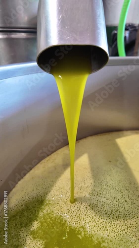 Fresh olive oil production process pouring from spout