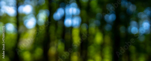 Foto Green background