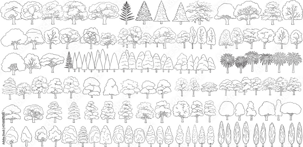 Fototapeta premium Collection of Line Art Tree Illustrations for Architectural and Landscape Design