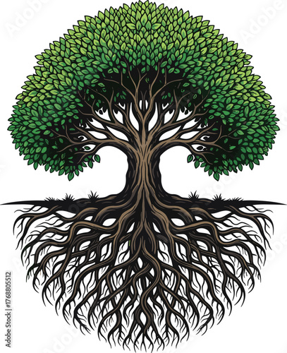 Symbolic circular tree of life concept with a vibrant green canopy and an extensive, interwoven root network, a vector graphic representing nature's balance and growth