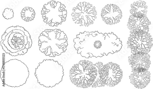 Architectural landscape design elements featuring detailed top-down line art illustrations of diverse tree and shrub species for planning, visualization, and schematic projects