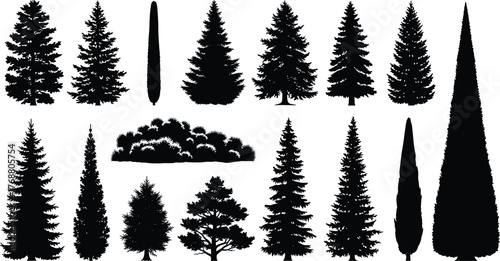 Silhouetted Collection of Evergreen Trees for Design Projects