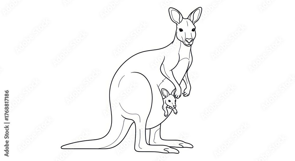 Fototapeta premium Kangaroo carrying joey outline